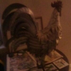 It is a metal rooster. 2ft tall, silver white and red for the facial features.
